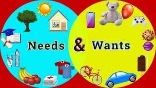 Wants and Needs