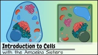 Exploring Cell Structure and Function