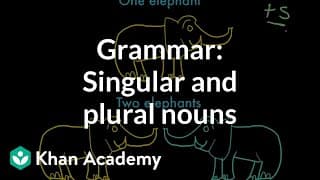 Singular and Plural Nouns