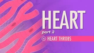 Regulating Blood Pressure and Cardiac Output