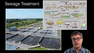 Causes and Effects of Water Pollution