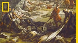 The Plague: Causes and Effects