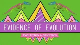 Evidence for Common Ancestry