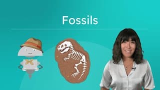 Fossils as Evidence of Past Life