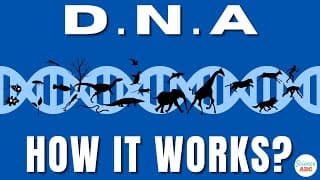 What Is DNA?