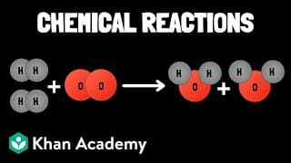 Reactants and Products