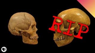 Changes in Humans Over Time