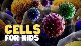 Cells as Building Blocks of Life