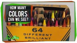 Color Vision: Humans and Animals