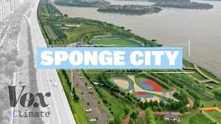 Disasters and Societal Change