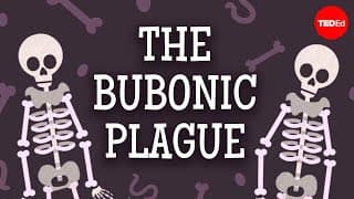 The Bubonic Plague in Europe