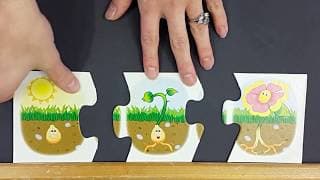 Story Plot: Beginning, Middle, and End