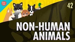 Human and Wildlife Interactions